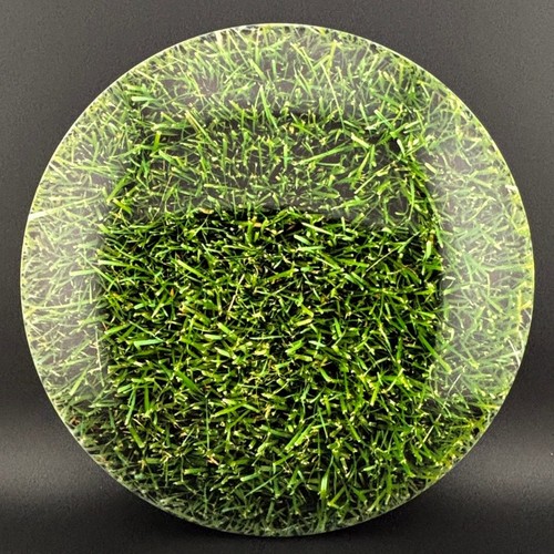 Dynamic discs fuzion - dynamic,
